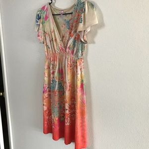 Kiara Vintage Dress (Size Small)
